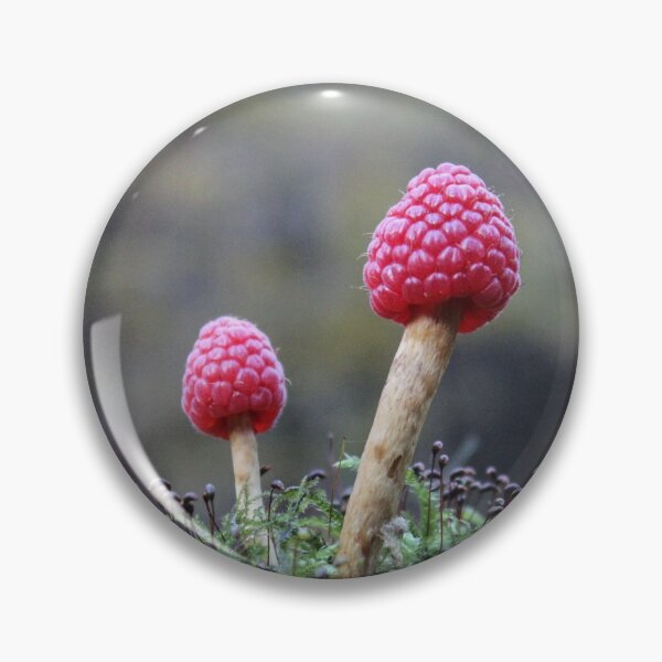 Item preview, Kopie von Kopie von Kopie von Fictional Mycology: sweet pepper-tongued oil fungus designed and sold by Volker Schütz.