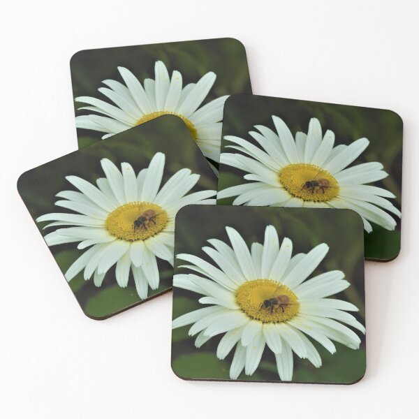 Item preview, Bee safe designed and sold by Fiona Welsh.
