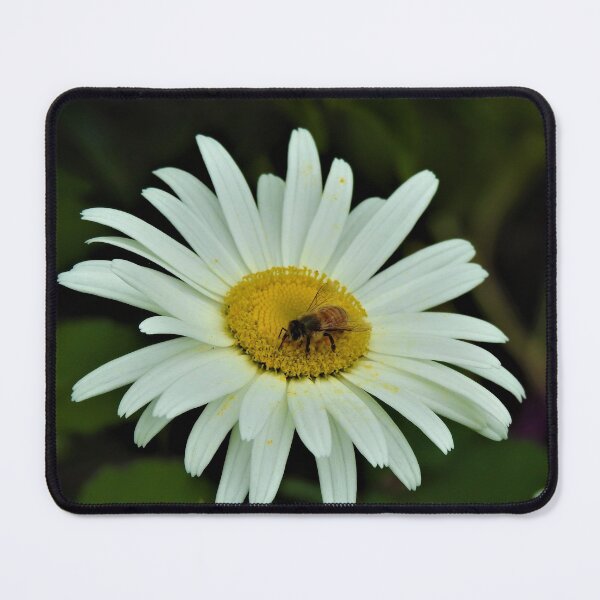 Item preview, Bee safe designed and sold by Fiona Welsh.