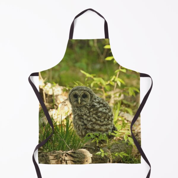 Item preview, Baby barred owl first time on earth designed and sold by locustgirl.