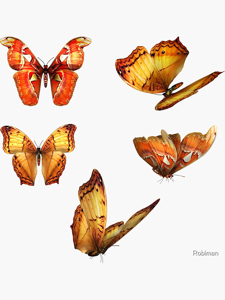 "beautiful real butterflies sticker pack" Sticker for Sale by Robiman