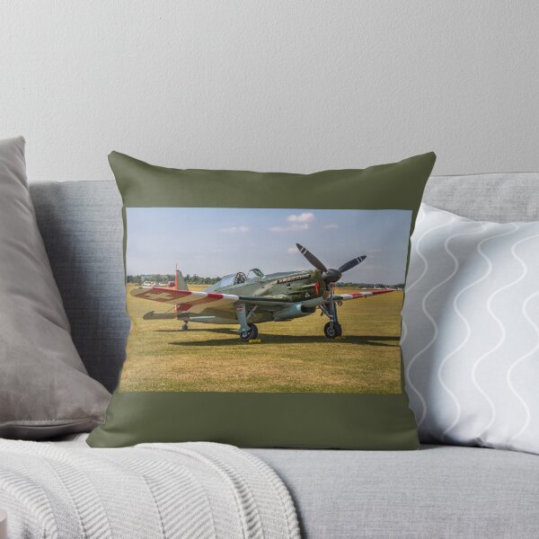 Item preview, EFW D-3801 J-143 HB-RCF designed and sold by Colin Smedley.