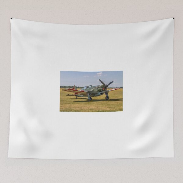 Item preview, EFW D-3801 J-143 HB-RCF designed and sold by Colin Smedley.