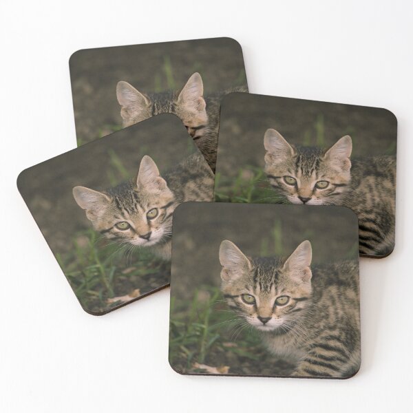 Item preview, barn kitten designed and sold by sylvrn.
