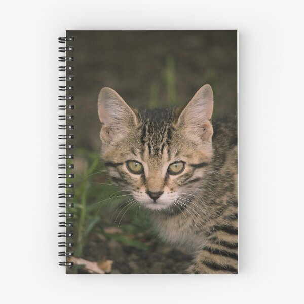 Item preview, barn kitten designed and sold by sylvrn.