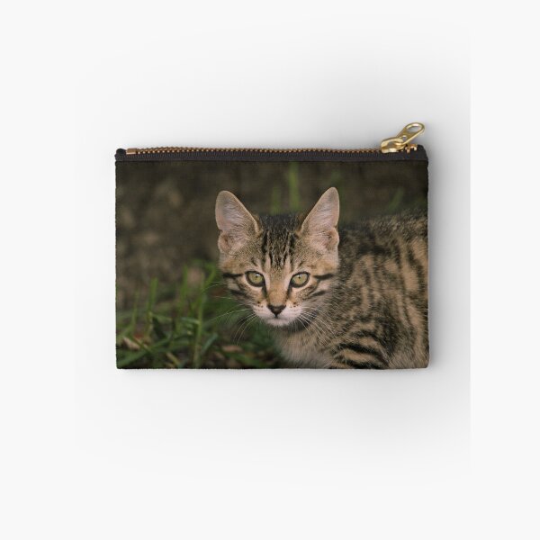 Item preview, barn kitten designed and sold by sylvrn.