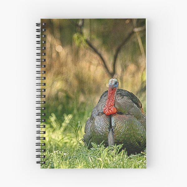 Item preview, American Wild Turkey designed and sold by Texas Enfocus Photography.