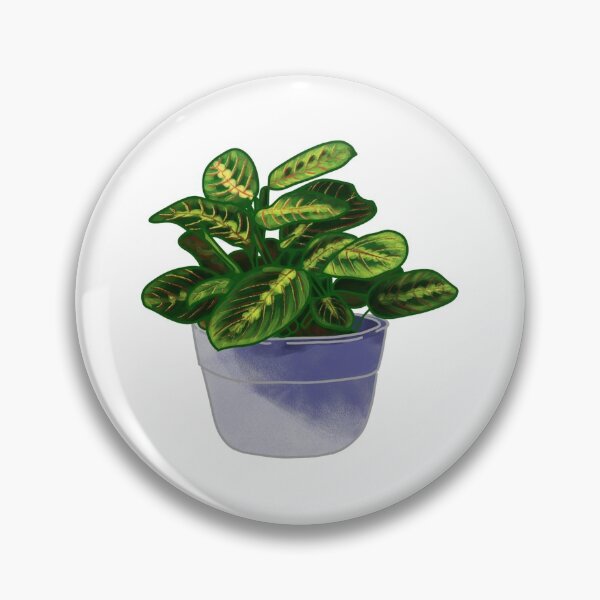 Item preview, Calathea Plant designed and sold by GreenVanillaBee.