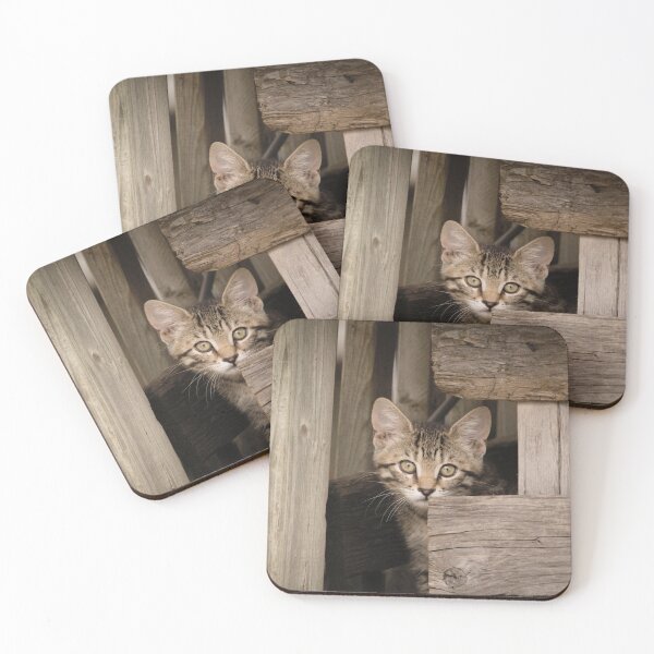 Item preview, barn kitten 2 designed and sold by sylvrn.