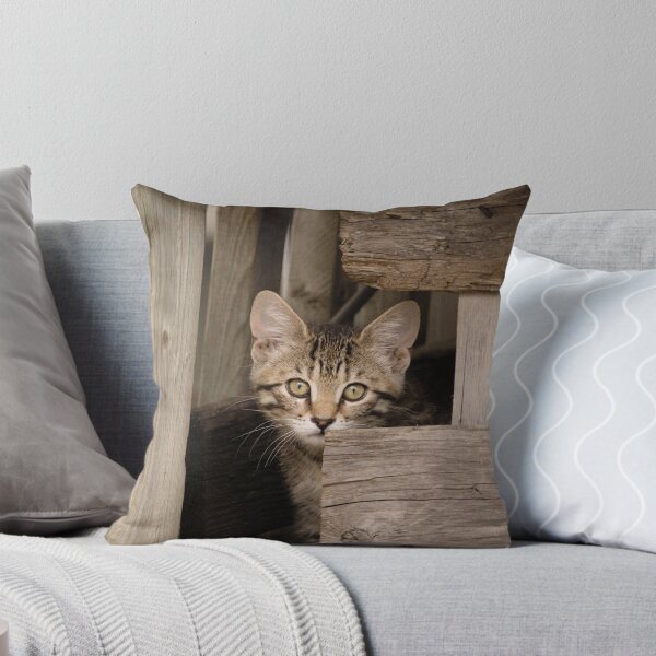 Item preview, barn kitten 2 designed and sold by sylvrn.