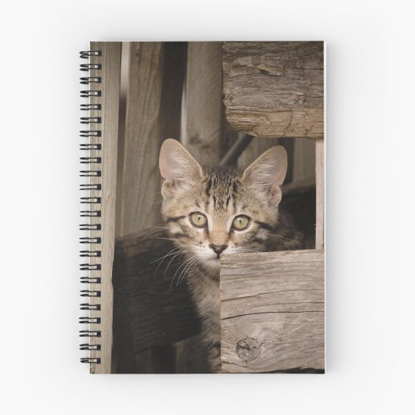 Item preview, barn kitten 2 designed and sold by sylvrn.