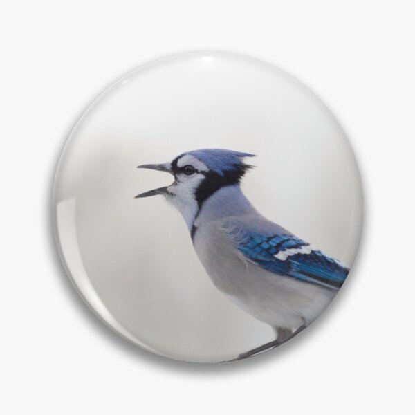 Item preview, blue jay (yelling) designed and sold by sylvrn.
