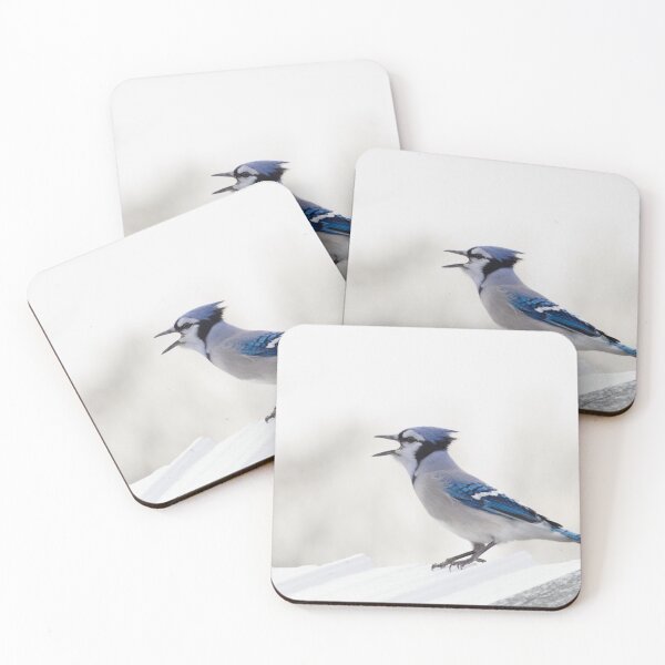 Item preview, blue jay (yelling) designed and sold by sylvrn.