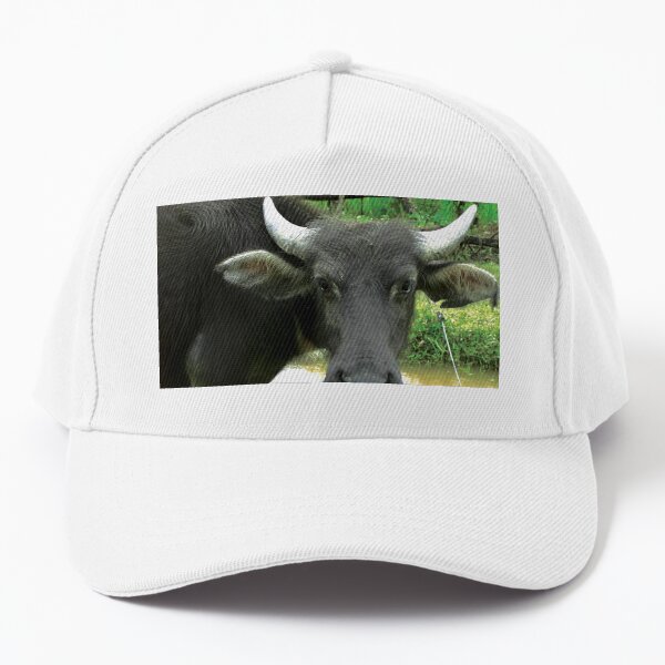 Brunei Gifts u0026 Merchandise  Redbubble