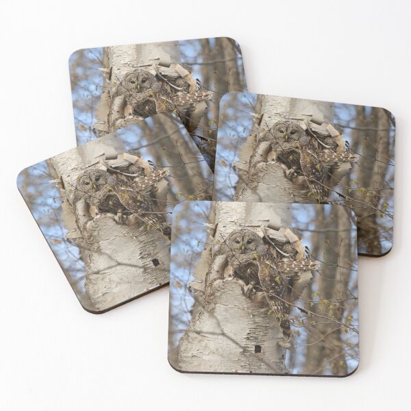 Item preview, Needing a much deserved stretch  designed and sold by locustgirl.