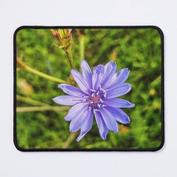 Item preview, Blue wild flower in nature in the fall, beautiful fall colors designed and sold by briliantbg.