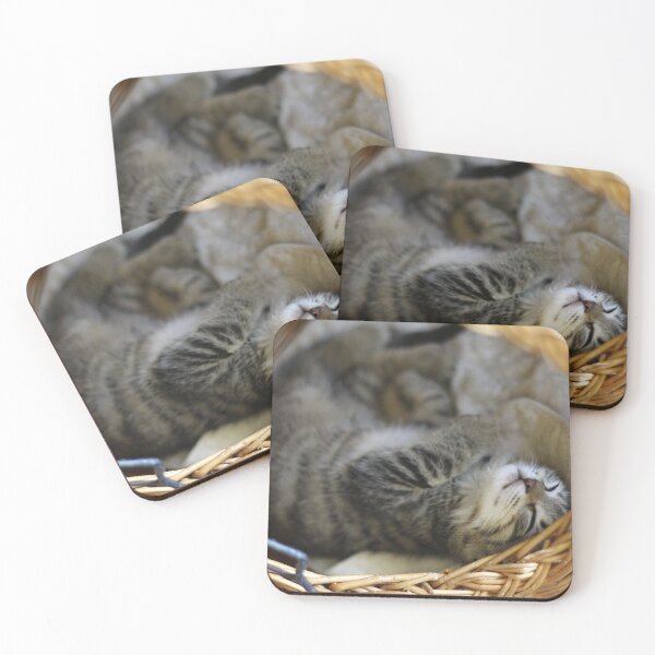 Item preview, Sleeping tabby kitten, my foster baby cat designed and sold by briliantbg.
