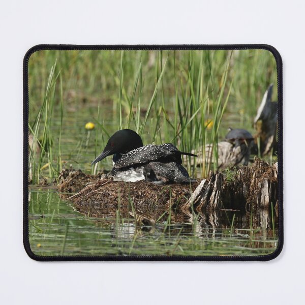 Item preview, Mom and baby loon in the nest designed and sold by locustgirl.