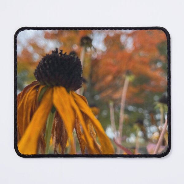 Item preview, Disenchanted designed and sold by Melanie Poirier ⭐⭐⭐⭐⭐.