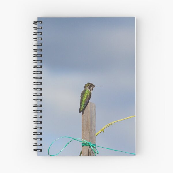 Item preview, hummingbird (solitary) designed and sold by sylvrn.