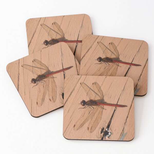 Item preview, Dragonfly Red Beauty   designed and sold by SillaHoekstra.