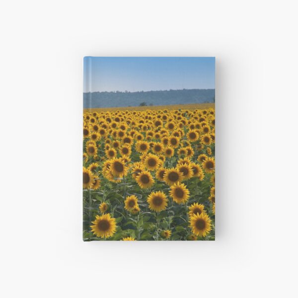 Sunflowers Hardcover Journal