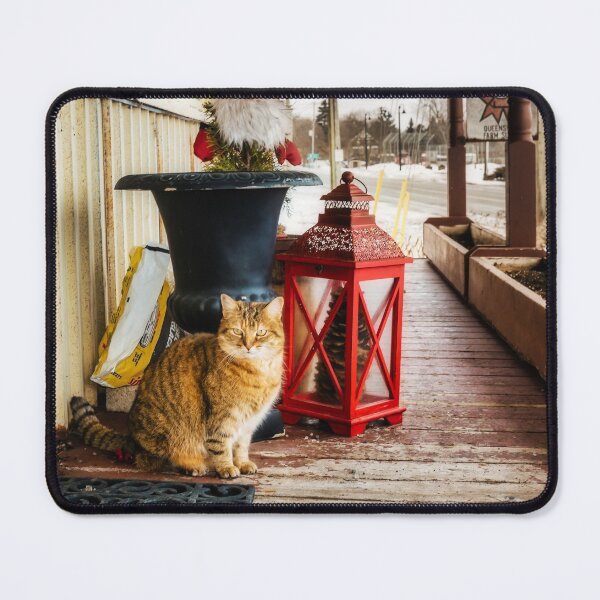 Item preview, Country Store Cat 3 designed and sold by Robert Alsop.
