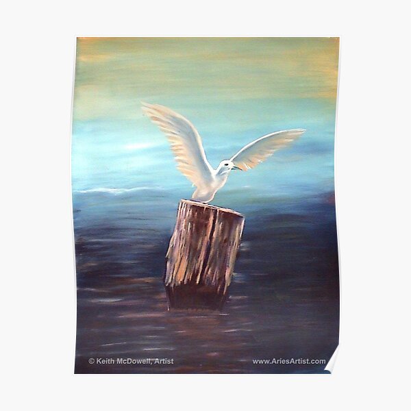 Seagull @ www.KeithMcDowellArtist.com Poster