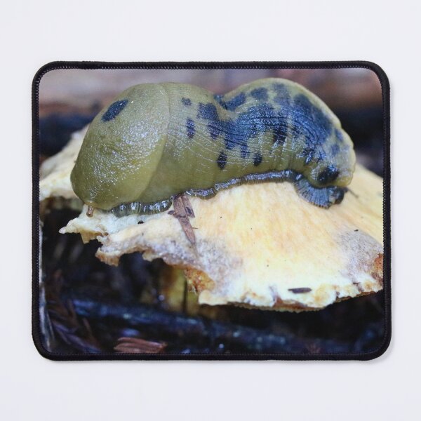 Item preview, Banana Slug on a 'Shroom designed and sold by Emmaline Jones.