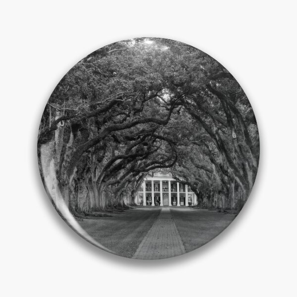 Item preview, Oak Alley Panorama in Black and White designed and sold by Kay Brewer.