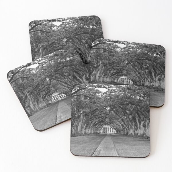 Item preview, Oak Alley Panorama in Black and White designed and sold by Kay Brewer.
