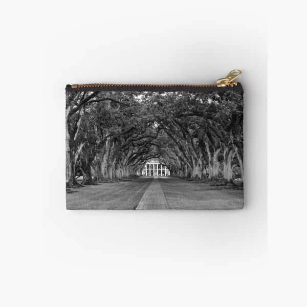 Item preview, Oak Alley Panorama in Black and White designed and sold by Kay Brewer.