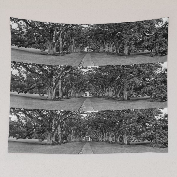 Item preview, Oak Alley Panorama in Black and White designed and sold by Kay Brewer.