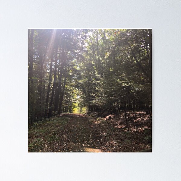 Item preview, Binghamton designed and sold by CncptulCaptures.