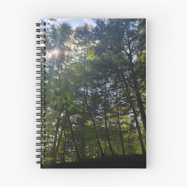 Item preview, Binghamton (3) designed and sold by CncptulCaptures.