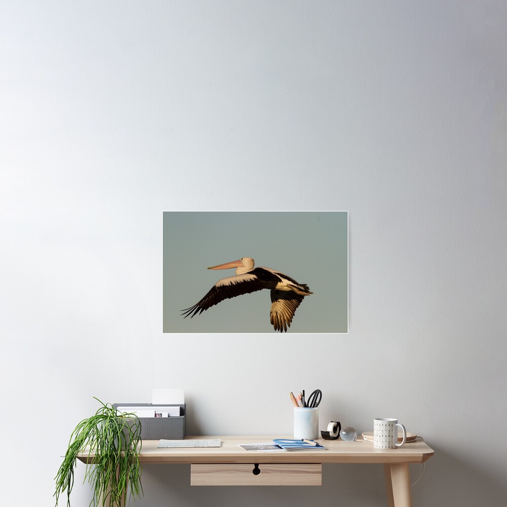 Item preview, Poster designed and sold by byronbackyard.