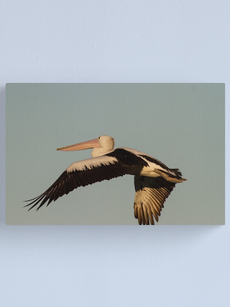 Thumbnail 1 of 3, Canvas Print, Fly designed and sold by byronbackyard.