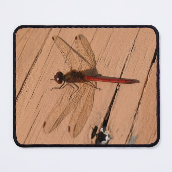 Item preview, Dragonfly Red Beauty designed and sold by SillaHoekstra.