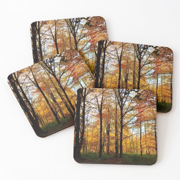 Item preview, beautiful fall morning in the woods-english countryside designed and sold by 1andydesign.