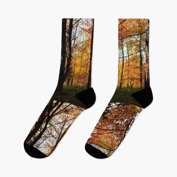 Item preview, beautiful fall morning in the woods-english countryside designed and sold by 1andydesign.