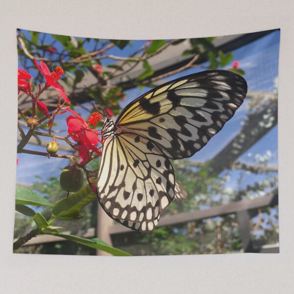Item preview, Butterfly World Florida (1) designed and sold by CncptulCaptures.