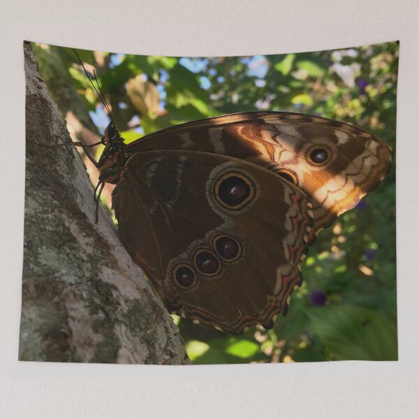 Item preview, Butterfly World Florida (2) designed and sold by CncptulCaptures.