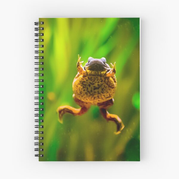 Item preview, Lake Oku clawed frog designed and sold by noahjpphotos.