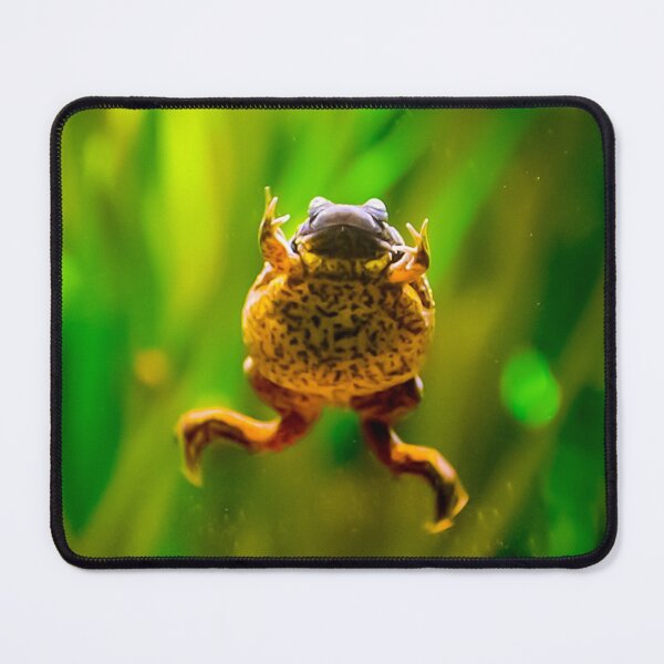Item preview, Lake Oku clawed frog designed and sold by noahjpphotos.