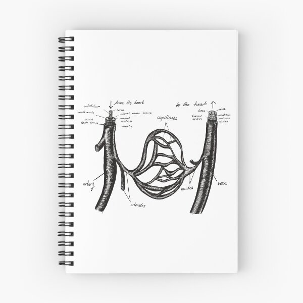 Item preview, Blood Vessel designed and sold by beanygeek.