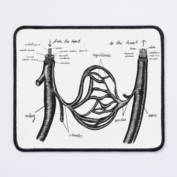 Item preview, Blood Vessel designed and sold by beanygeek.