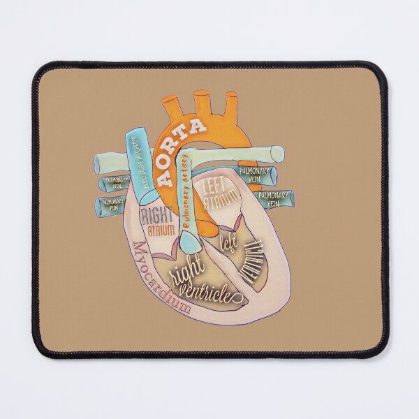 Item preview, Anatomical heart  designed and sold by Tamm-art.
