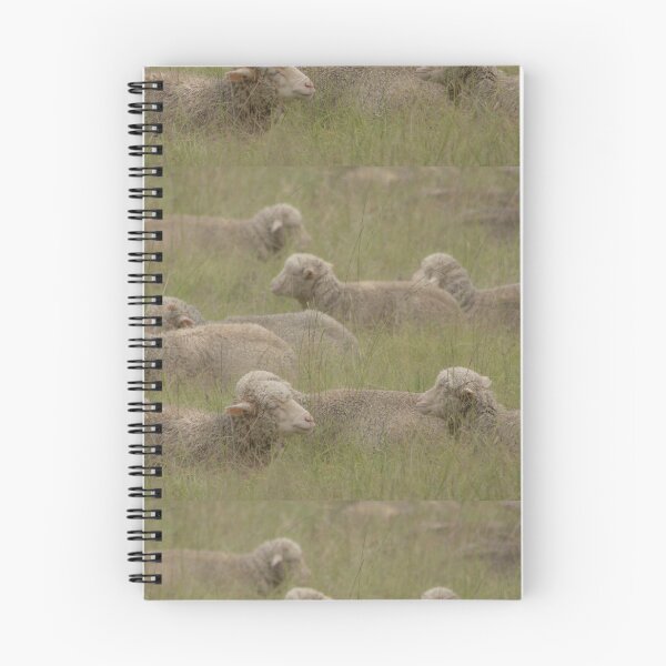 Item preview, Sheepish 2 designed and sold by Clare Colins.