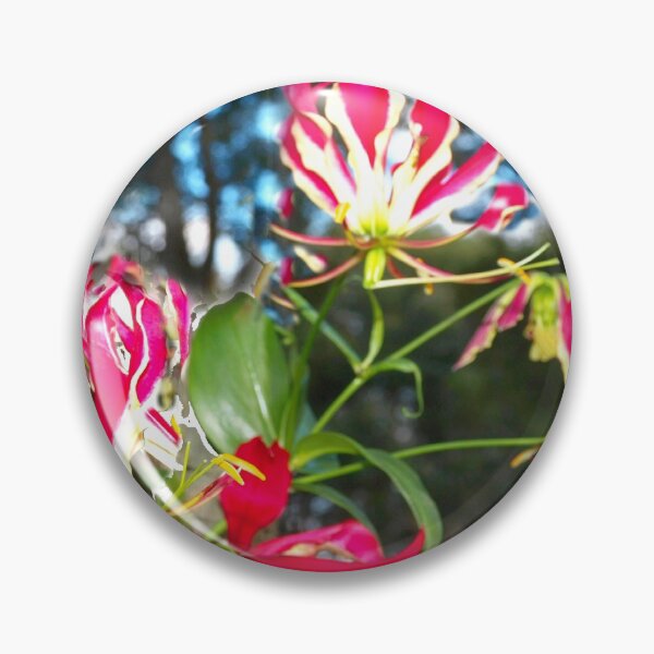 Item preview, Gloriosa lilies against a fence designed and sold by B. Randi Bailey.