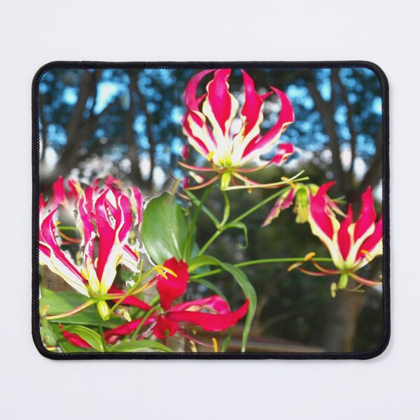 Item preview, Gloriosa lilies against a fence designed and sold by B. Randi Bailey.